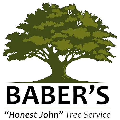 Baber Tree Services